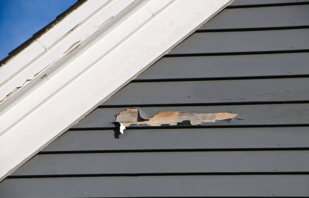 Reliable Merrydale, LA Siding Solutions